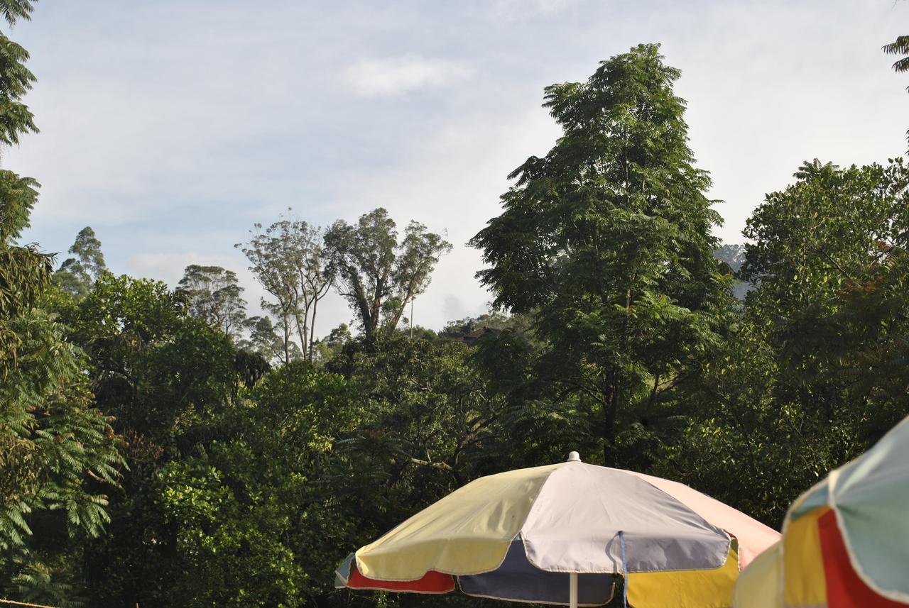 Mountain Villa Adam'S Peak Nallathanniya Zewnętrze zdjęcie